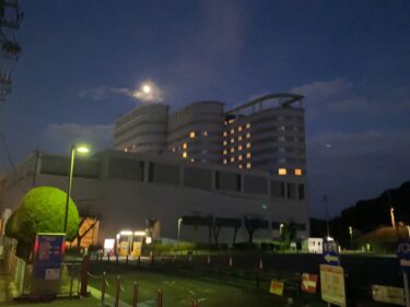 ゆっくり目の仕事始め